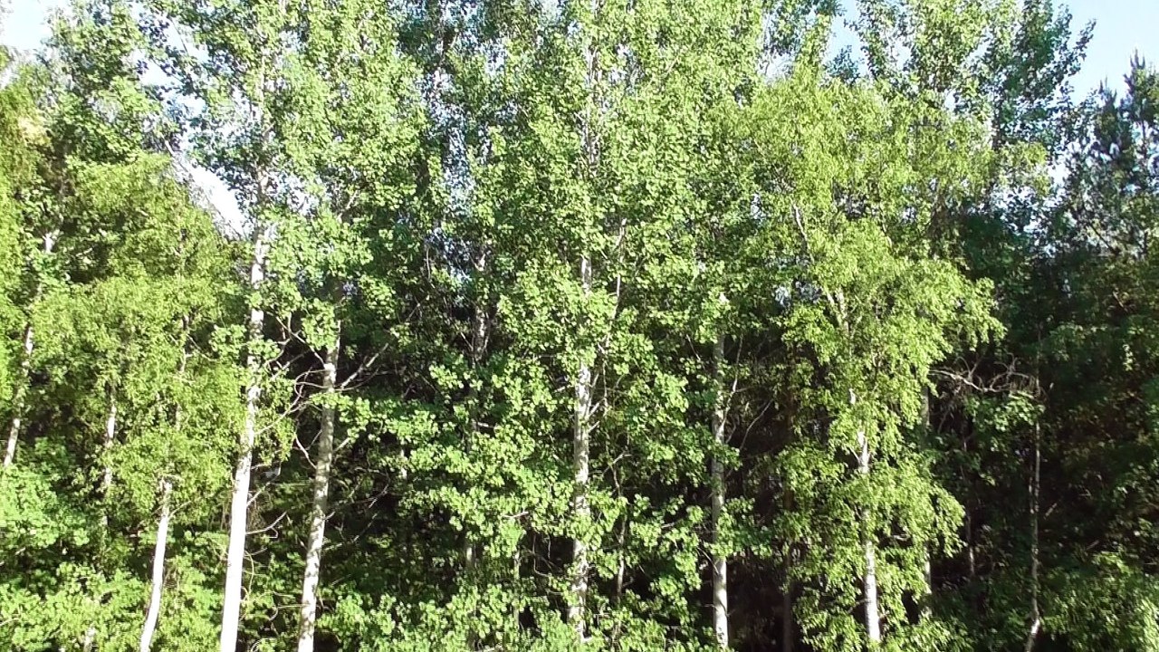 May 31 2018 DL10
