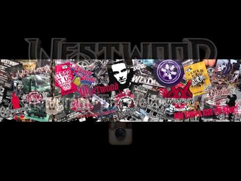 The Notorious B.I.G. Puff Daddy & Craig Mack rare freestyle audio 1995 - Westwood