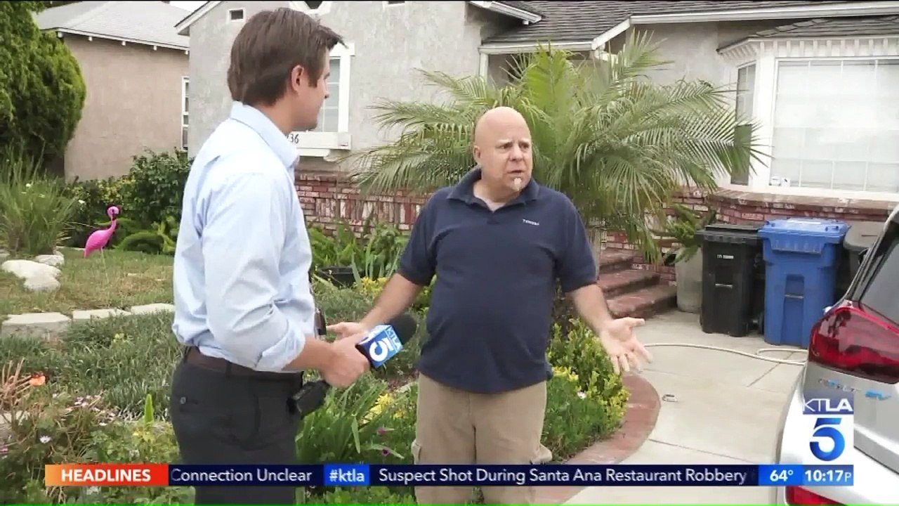 Man Offers Reward for Information on Person Who Is Shooting, Killing His Cats