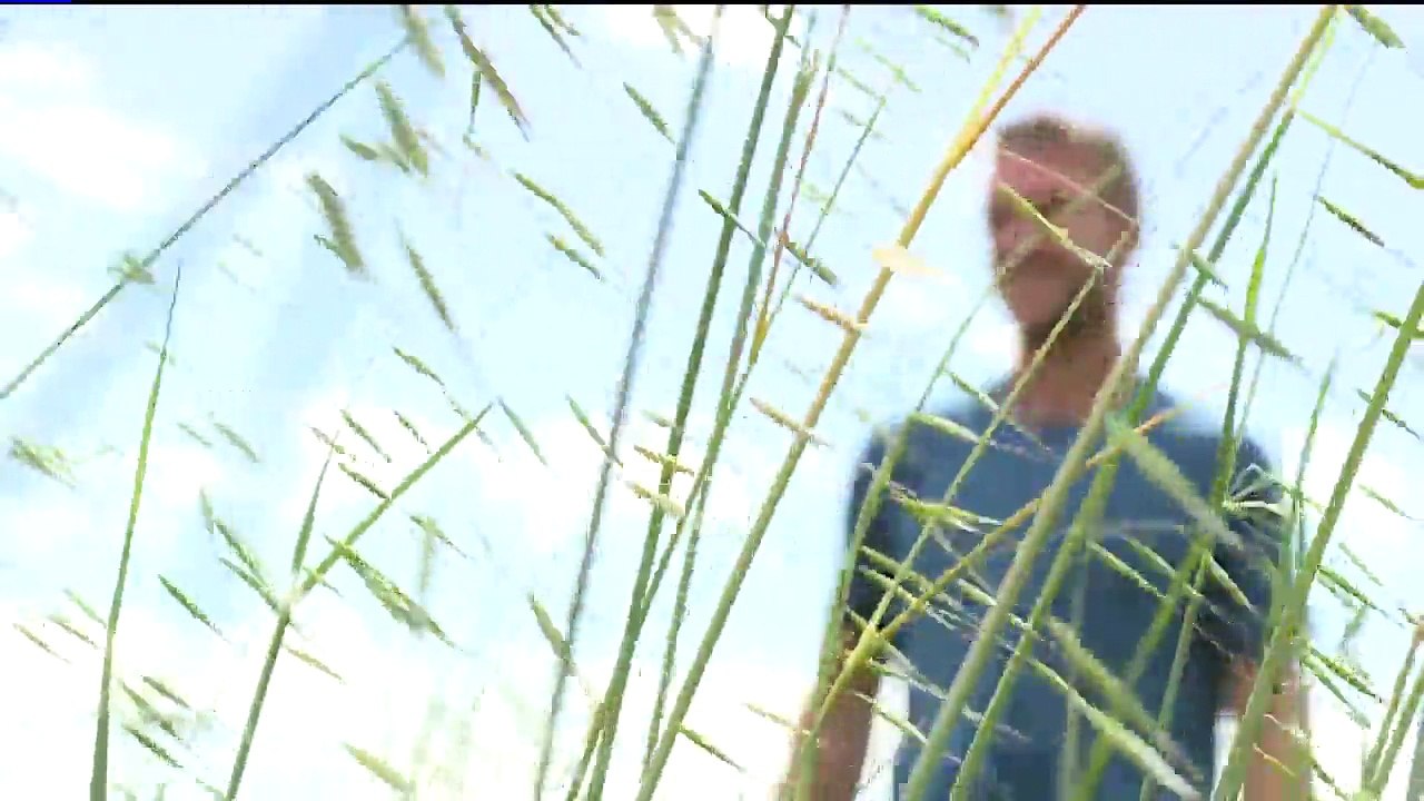 Man Rollerblading from San Francisco to NYC to Raise Money for Hungry Kids