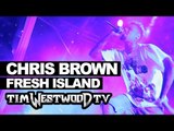 Chris Brown shuts it down at Fresh Island Festival! Westwood