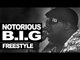 The Notorious B.I.G. freestyle 1995 #WeMissYouBIG
