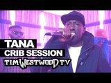 Tana freestyle - Westwood Crib Session