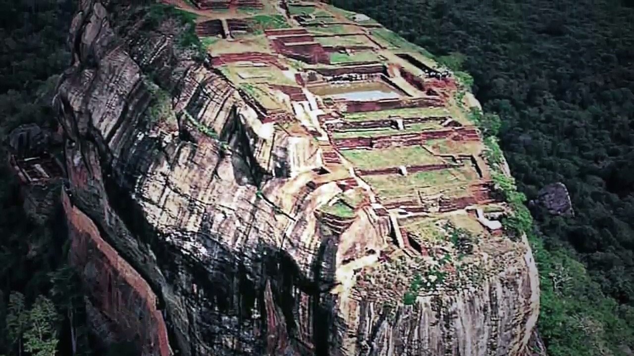 DESCOBERTAS MAIS INCRIVEIS NA SELVA