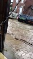 Belgique : Une voiture met une femme en colère pendant les inondations à Oreye !