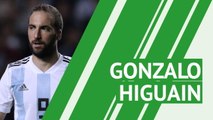 Gonzalo Higuain - player profile