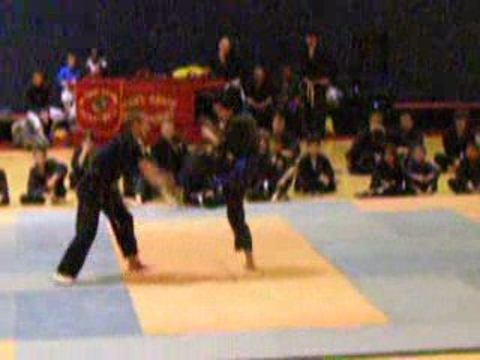 viet vo dao téléthon 2007