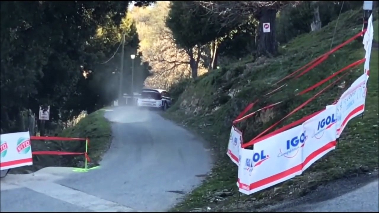 Best of WRC 2017