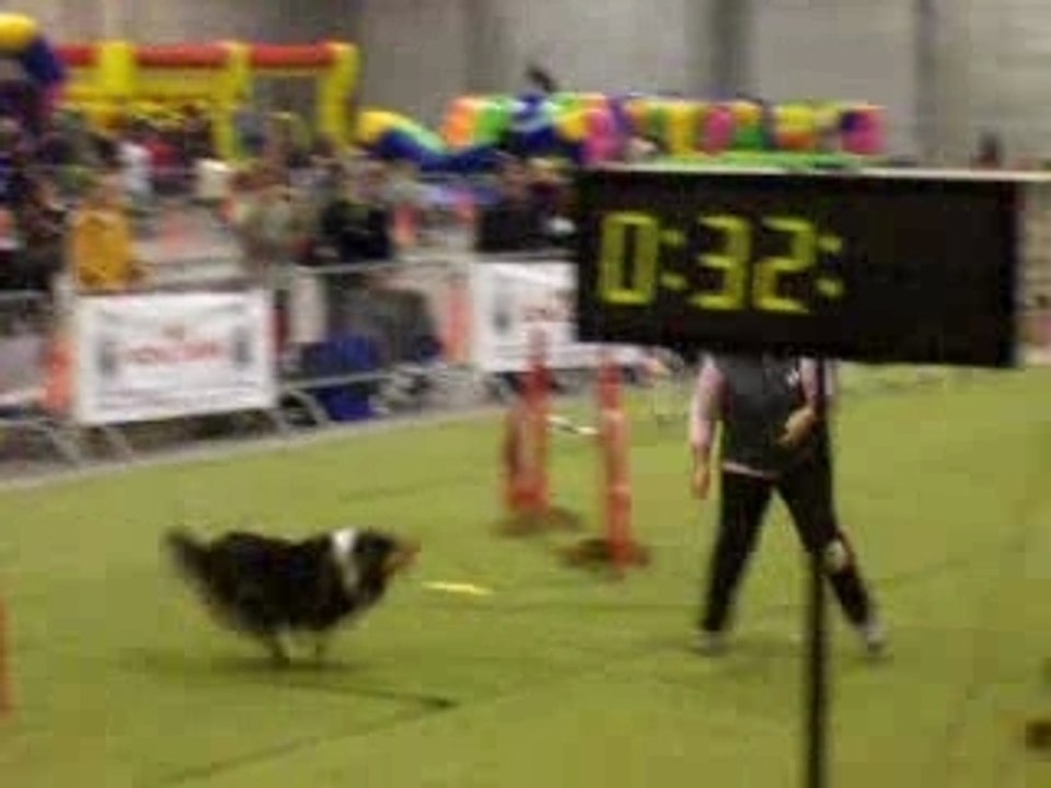 Umie en agylity a Courtrai 2007