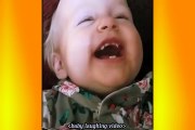 Lots of babies laughing funny