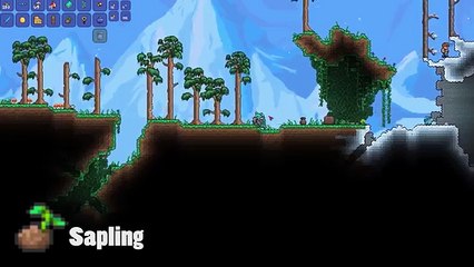 Terraria Top 5 Worst Mistakes In Top 5s | Terraria Countdown