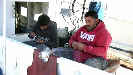 Au Liban, des pêcheurs militent pour préserver la faune marine