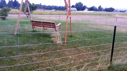 Giant Dog Defends Home From Vicious Attack!!!