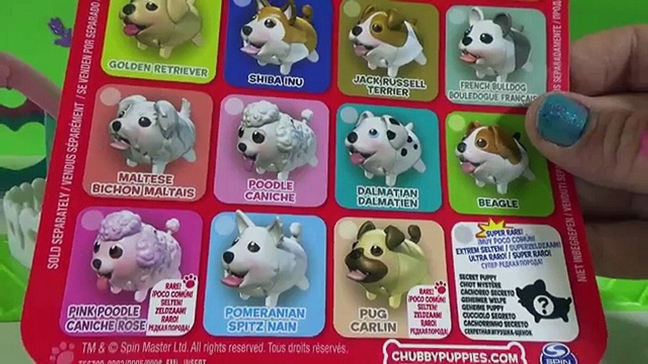 Cachorro Patoso - Centro de Entrenamiento - Chubby Puppies juguetes toys en  español - video Dailymotion