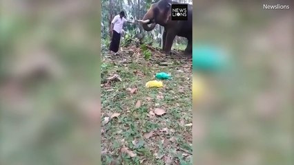 Shocking Video Shows Why You Shouldn't Treat Elephants Like Playthings , Indian film Baahubali