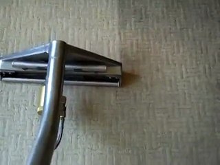 Freshly cleaned carpet in Leicester