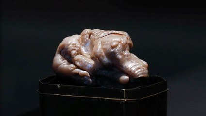 "Uyuyan Aslan" İsimli Garip Şekilli İnci, 2 Milyon Liraya Alıcı Buldu