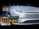 [제네바모터쇼] 현대차의 신상 SUV 'FE 콘셉트(Hyundai FE concept)', 양산형 모델은 내년에 나옵니다!!!