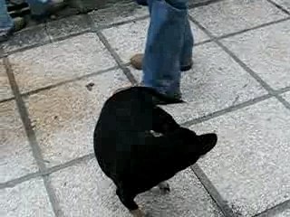 ça tourne, vite, encore plus vite!!!