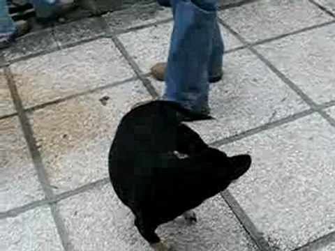 ça tourne, vite, encore plus vite!!!