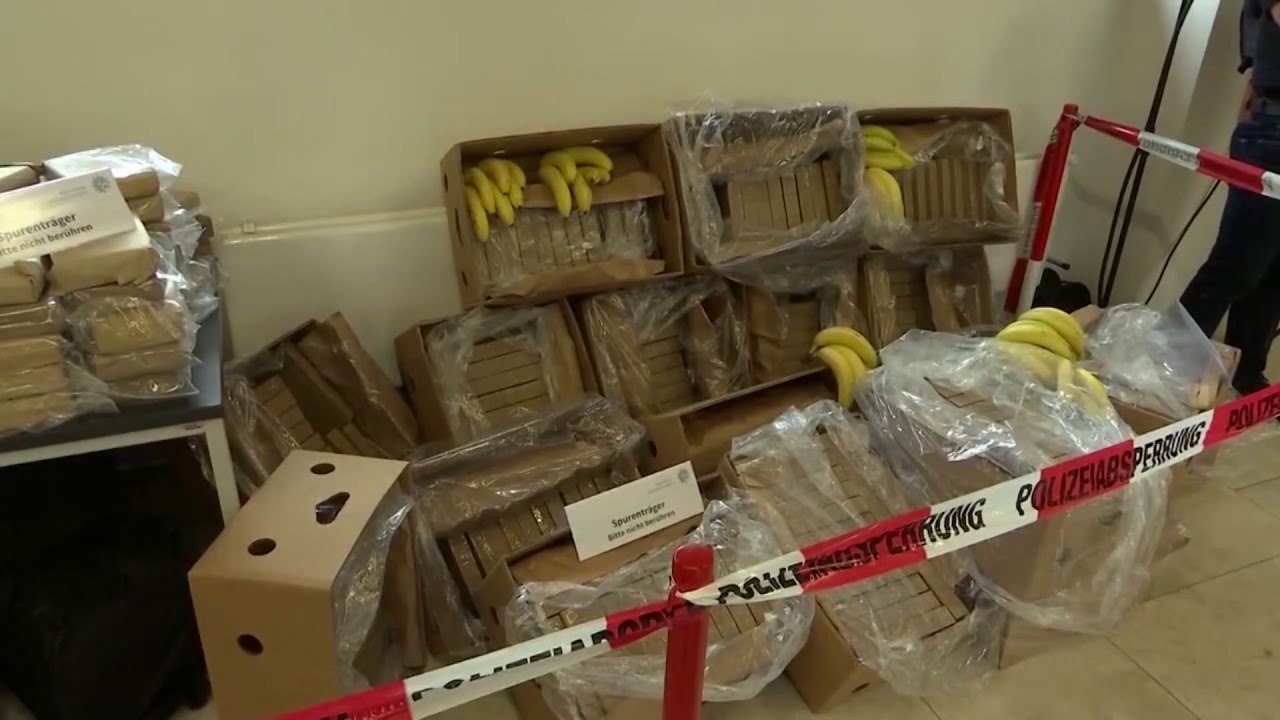 Report TV - Gjermania nis hetim për 613 kg kokainë të kapur në Maminas/ Detaje
