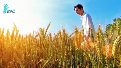 बासी रोटी खाने के फायदे जानकर आप हैरान रह जायेंगे   Daily Health Care