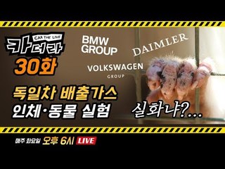 독일차 배출가스 인체 및 동물 실험 실화냐?…카더라 30회.. 신형 싼타페 비공개 공개(?)된 이야기
