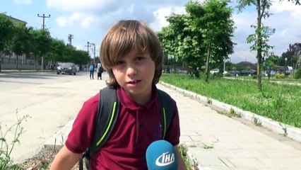 Kesilen Ağaca Ağlayan Minik Doruk Daha Çok Ağaç Dikilmesini İstiyor