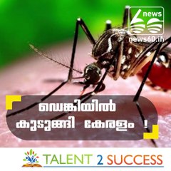 Dengue fever cases swell in Kerala