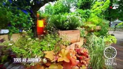 Jardin - Tous au jardin (2ème partie)