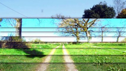 Propriété de caractère sur 8 hectares attenant.