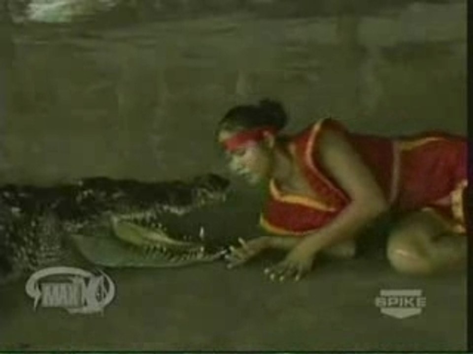Crocodile