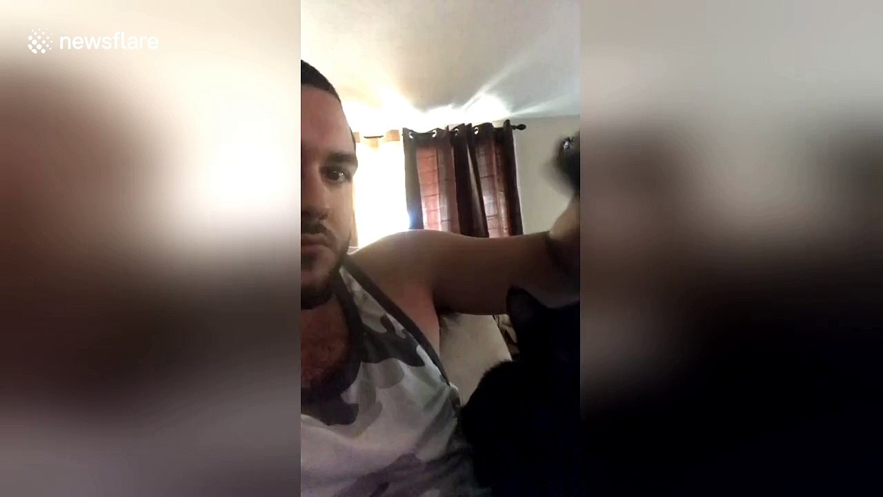 Hungry cat intercepts owner's spoonful of dessert