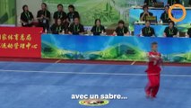 Le wushu, le nouvel art martial populaire