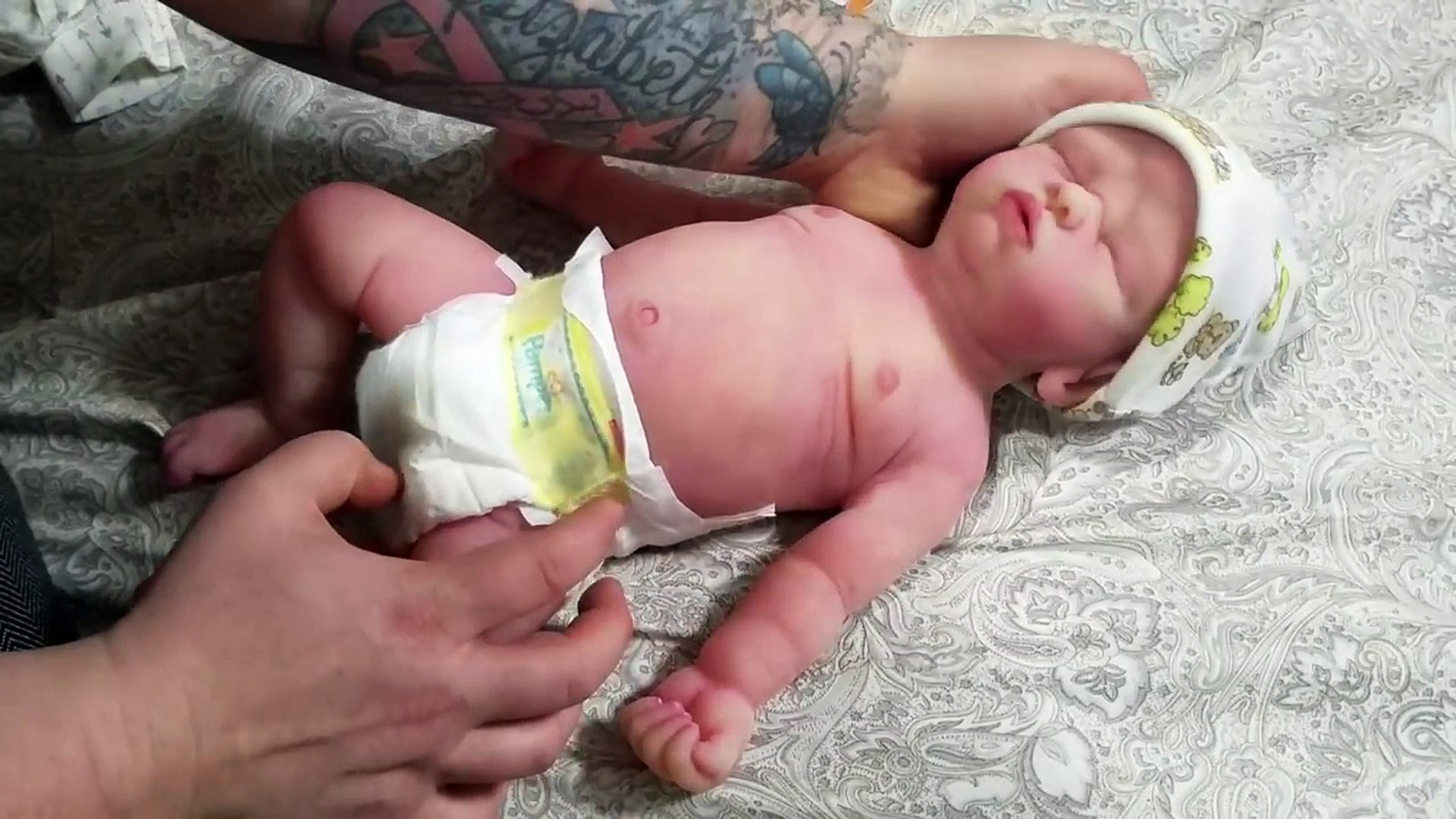 brandaholics nursery