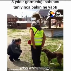 3 YILDIR GÖRMEDİĞİ SAHİBİNİ TANIYINCA