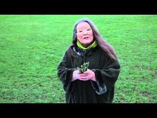 Woman tells the future by looking at asparagus