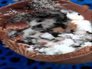 Woman discovers her Creme Egg is full of ANTS!