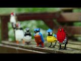 Man creates amazing british birds with Lego