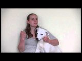 Deaf dog learns sign language