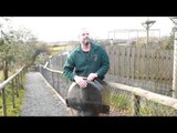 Zoo staff use riot shields to protect themselves from angry birds