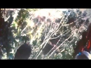 Paramotor flight ends in nasty crash