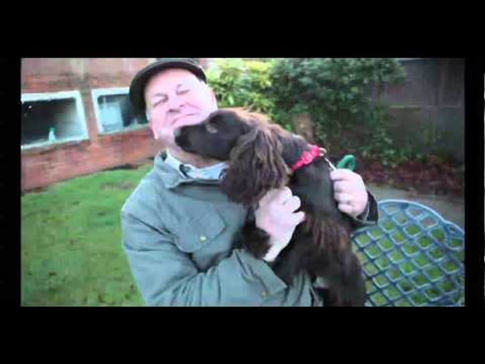 Stanley the youngest dog in the UK to have hip replacement