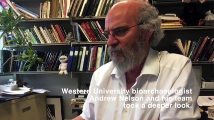 Una minimomia egipcia de halcón resulta ser un feto humano malformado