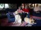 Blind couple find love after their dogs fall for each other at a guide dog training course