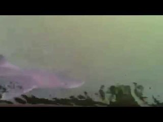 Shark filmed swimming 10 miles inland on the River Stour, Essex