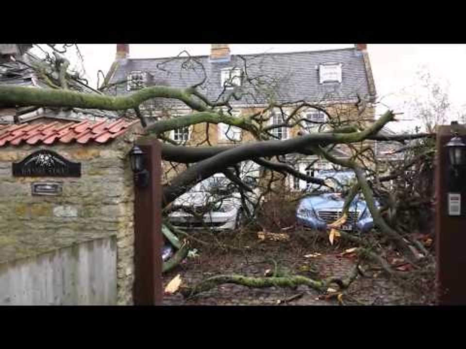 Falling tree crushes luxury cars at a plush Lincolnshire property.