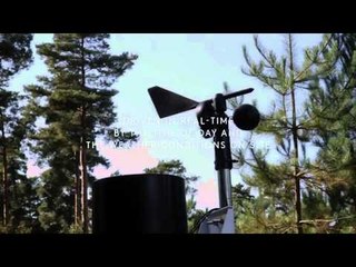 The flora and fauna of a forest used to compose music