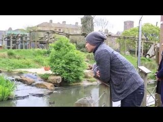 Kellan Lutz comes face to face with Gorillas at Bristol Zoo