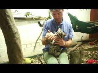 Leopard cub rejected by mum is hand reared in family bathroom